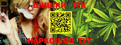 spice Камышлов