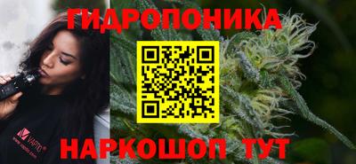 spice Камышлов