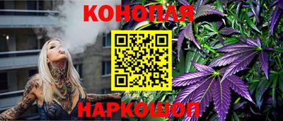 spice Камышлов