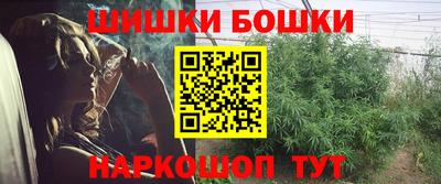 spice Камышлов