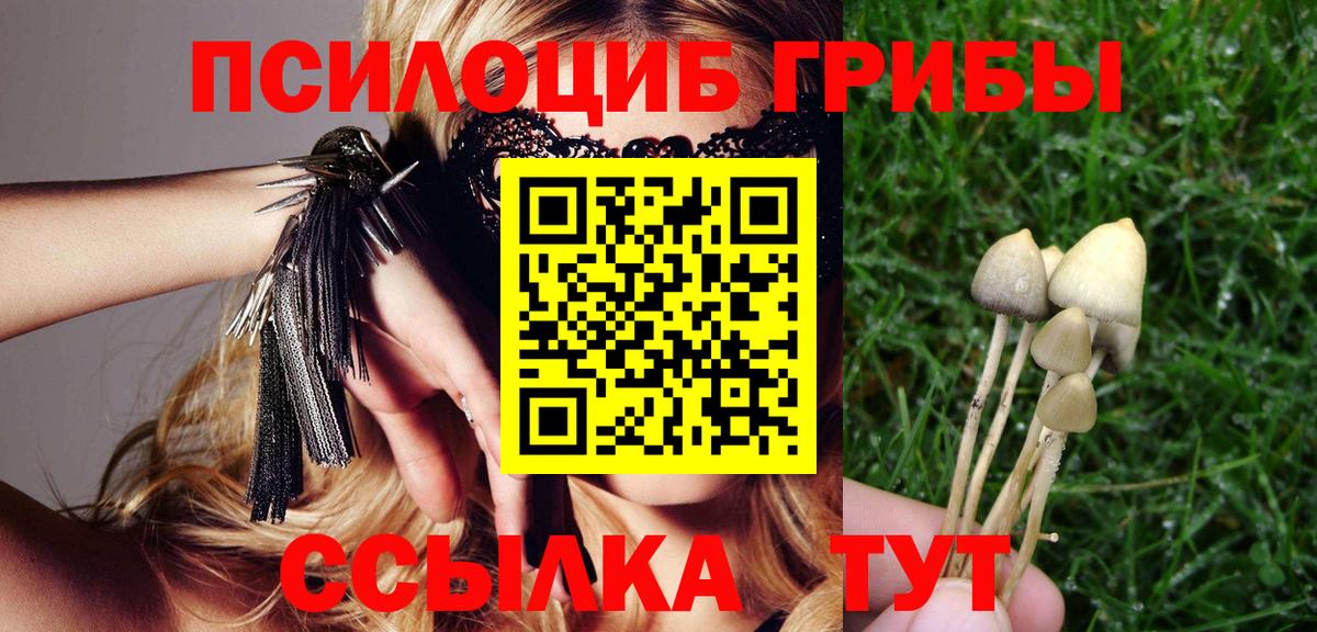 Лесной  Псилоцибиновые грибы мицелий  Вход с VPN  Галлюциногенные грибы мицелий 